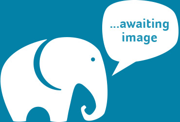 White Sheeting - Dust Sheets